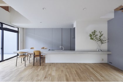 pohaus